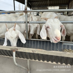 ɽ���Bֳ���������۰�ɽ����� 3��6���°�ɽ��r��