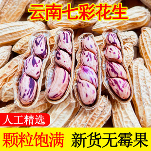 ���l���l�������߲ʻ�������ն��߲ʕ����ʻ���������������