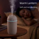 New Creative Mini Humidifier Colorful Light USB Heavy Fog Double Spray Nano Water Replenishment Meter Home Gift