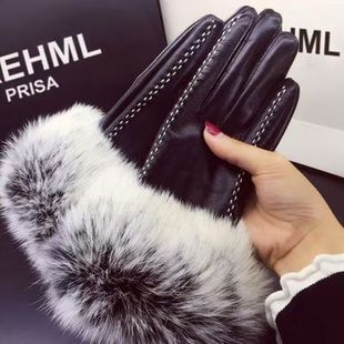��Ƥ����Ů���ɐ��n������ë�ӽq�Ӻ�ů�����T���|��Ƥ�����_܇