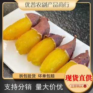 ������ɏ����9���������r�t����ɯ����10���l���]5ɳ�ع��S�ķ���