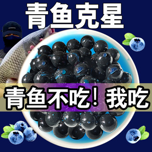 ���~����ܛ�D��ើ����w��Ұឺڿ���~������ˮ��������~�D