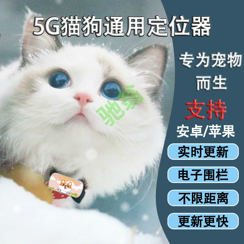Yut5 G собака GPS локатор кошачий дог Beidou спутниковое бронирование артефакт водонепроницаемый ошейник против потери погони