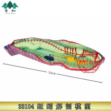 ������ģ�� J33104 ���С������������� �ЌW�̌W�x��