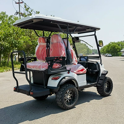 Golf Carts for Tourist Areas, Elektrikli qolf avtomobilləri