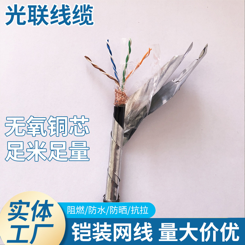 Optical Cable National Standard Armored Category 5E Category 6 Shielded Oxygen-Free Copper Network Cable Outdoor Water-Proof and Mouse-Proof Network Cable Optical Cable National Standard Armored Category 5E Category 6 Shielded Oxygen-Free Copper Network Cable Outdoor Water-Proof and Mouse-Proof Network Cable