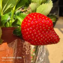 ��ݮ���Դ���l؛�҃��^�p�Ի������ԏV�ݻ���ֱ�N���_�lƱ������