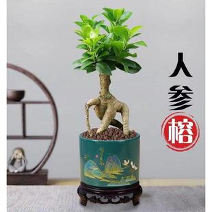 �Ř��辰�҃��̨�����Ϙ��u�X��С�~�˅������ԃ����՚���B�Gֲ