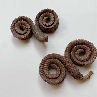 ��ǭh�ɘ�֦�ɻ��b廨�Ӕ[�����նYƷֲ���OӋ����