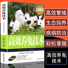 正版高效养兔技术兔病防治兔子养殖技术书籍大全规模化高产量獭兔