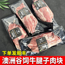 澳洲谷饲牛腱子进口原装牛肉冷冻腱子肉卤牛肉馆商用牛腱子肉块