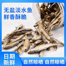 �o�}�}����ʳ��ˮС�~�Ɍ������Z؈�Z؈����ʳ����ʳ�����ʠI�B�Z