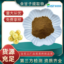 余甘子提取物10:1 余甘子粉 喷干粉 植物原料萃取 厂家现货可寄样