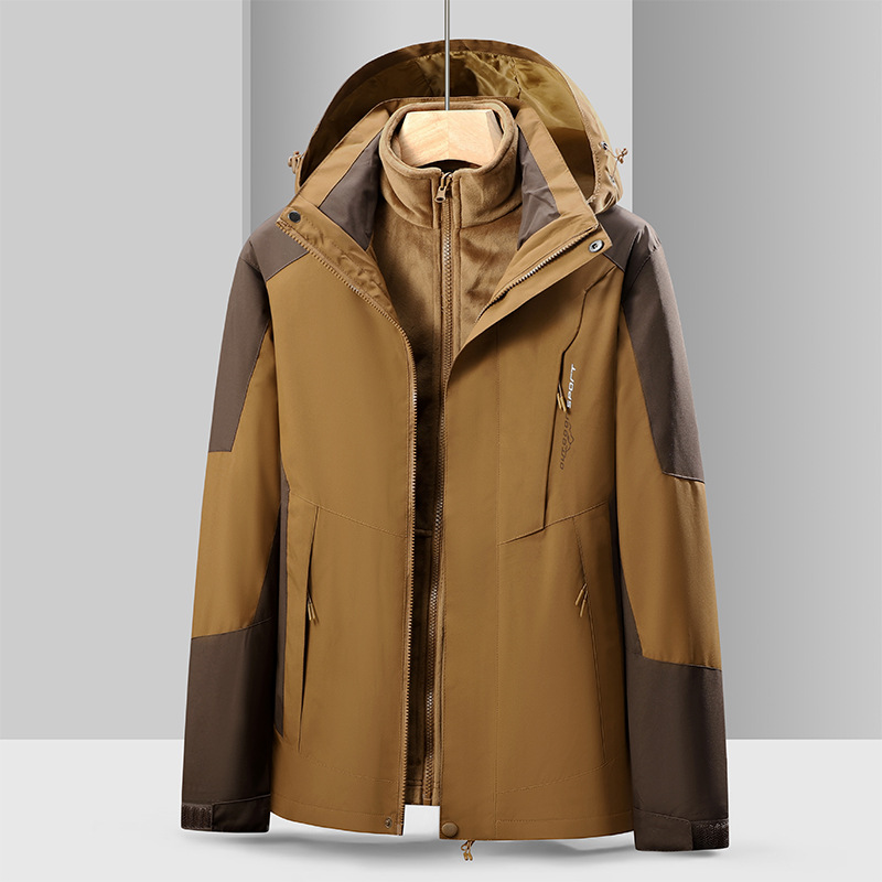 수컷 짙은 갈색 낙타