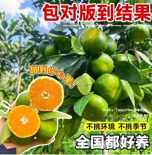 ��ۘ�����������Ϸ������Nֲ��ۘ���̽۹������޽ӽ�۹���