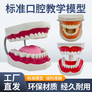 ���Ʋ���/�X�ƺĲ�/��ǻ��е/���ƽ̌Wģ�ͼ���ģ�� �������Xģ��