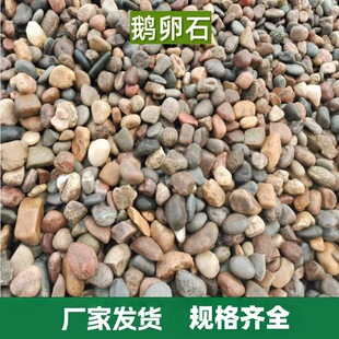 �S��ֱ�N�Z��ʯͥԺ�·ˮ̎���ӵ�����׃�����Z��ʯҎ���Rȫ