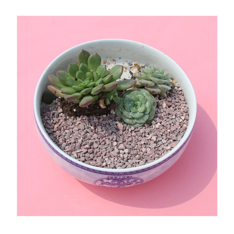 ʽͥԺԭʯ | ҵ̲绯 | ɽˮʯ/ʯ