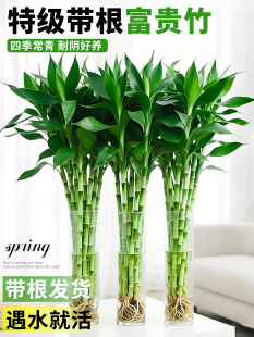 �������F��ˮ��ֲ���k���҃������^�����D�\���ӿ͏d��ؔˮ�B���l