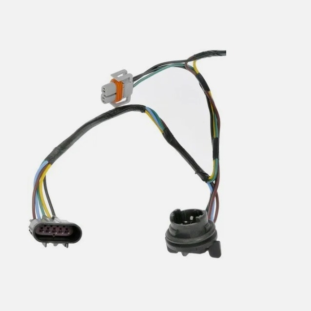 2024-05-31 15:18:14.jpg