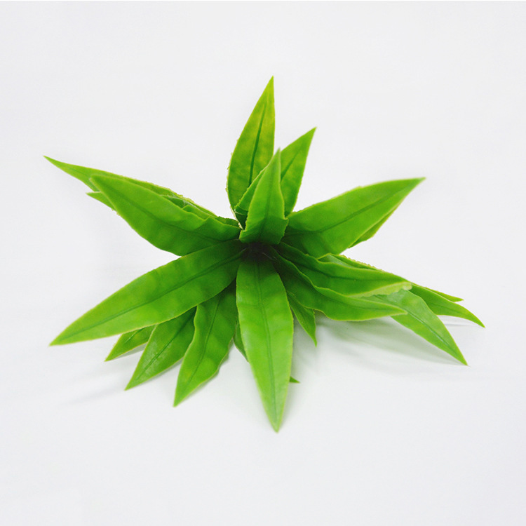 Hoja de Nido de Pájaro