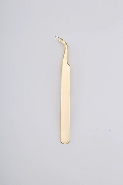 Butterfly clip-champagne gold