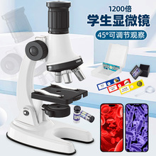 �����W�@΢�R��ͯ�ƌW�����С�WУ׼1200������Ŵ��R�ƽ����