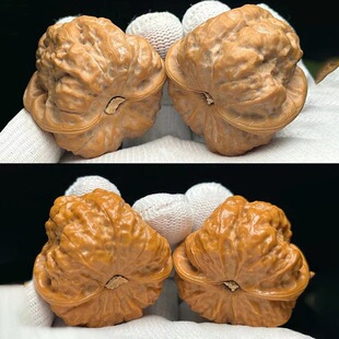 ��������Ϙ��ӑc������^�P����搞��{���^Ԫ���_����������