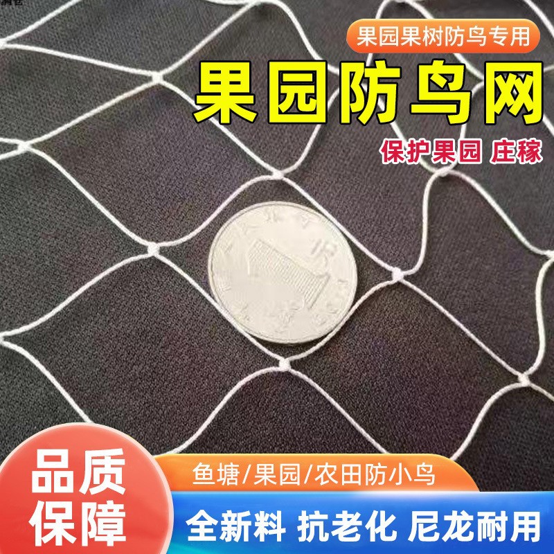 涤纶防鸟网尼龙复丝穿边大棚通风口天沟农田鱼塘果园果树防鸟网