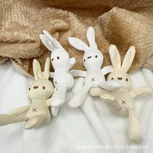 ��������ż19CM��ë�q����������l��Y����������޹���С����