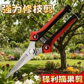 强力果园树枝摘果剪不锈钢修枝剪刀花园绿化修花剪直头园艺园林剪