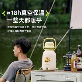 大宇D13巨无霸烧水杯便携旅行热水壶烧水瓶出行加热电炖杯保温杯