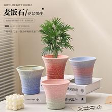 万象盆麦饭石粗陶多肉花盆蝴蝶兰家用客厅大口径透气陶瓷花盆