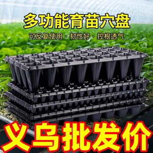 ����PѨ�P���������籭������������猣�ñP��������PѨ�P��P