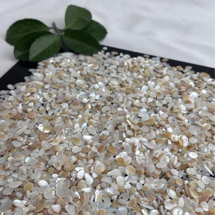 Shell Crafts 2-5mm American Shell Granules Landscaping Decoration DIY Jewelry