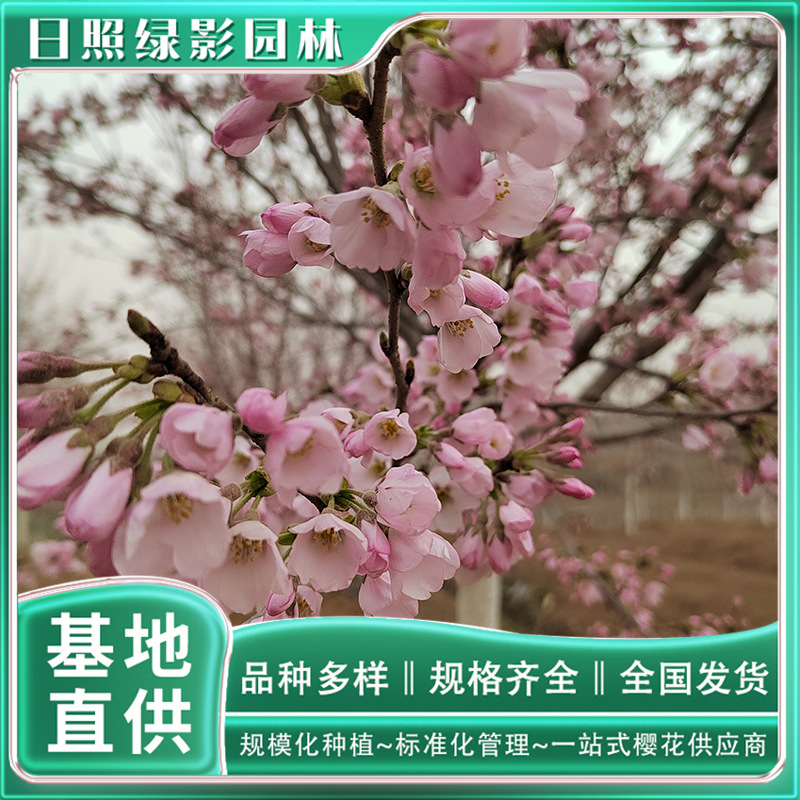 微信图片_20230818145615 副本.jpg