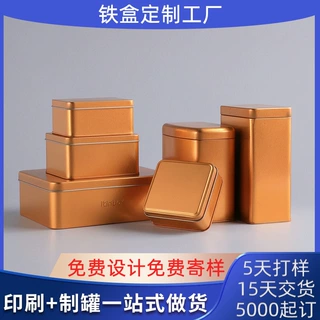 定制长方形马口铁收纳盒翻盖金属包装饼干糖果铁盒空盒 15天交货