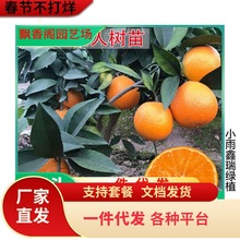 ������� �ձ�����������ꖹ���4̖һ̖�m�������۽��Ә������