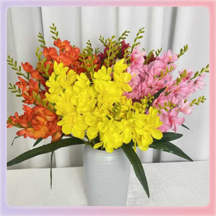 ?���9����ѩ�m���廨����m���Ҿ�ܛ�b�����[���ٻ����Ի�