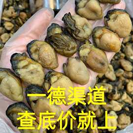 厂家批发大量干货约100头蚝士干图片大干度好煲汤煲粥食材500g