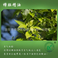 樟脑精油camphor oil 除臭清新空气木质香水化妆品香料樟木油