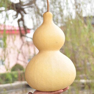 ���l��Ȼ���J�[������͏d���Pƽ����̖������J��С���J�������