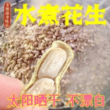 ▇24年广东新水煮花生咸味盐水煮白晒咸干盐干忠信花生下酒零食wz