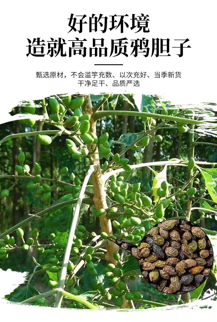 Ya Dan Zi (Brucea javanica) — Dried Bitter Seed Herb, 500g, Unsulfured, Grindable overview