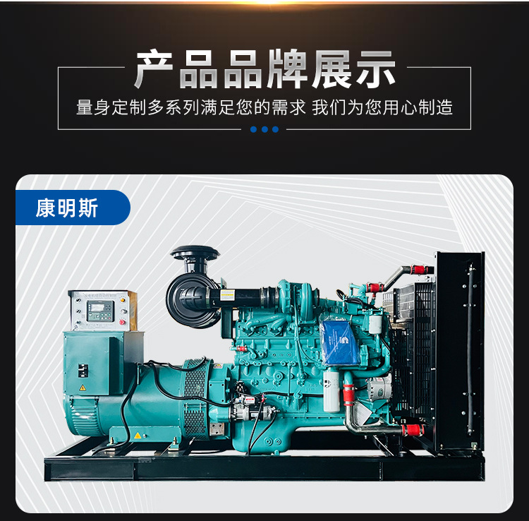 250KW上柴发电机组厂上海柴油发电机400KW500厂家备用发电机组600详情20