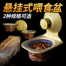 爬虫吸盘式食盆陆龟箱水盆爬宠箱食盘蜥蜴角蛙守宫辐射饲养箱