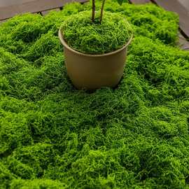 仿真苔藓草皮仿生人造假青苔微景观布置摆件草坪盆景盆栽铺面造景