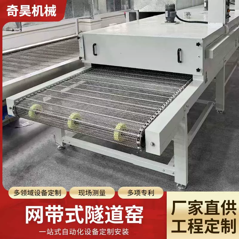 厂家定 制网带式隧道窑大型扣板链板输送机工装线板链输送线