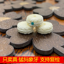 ��Ȼ�ͪw���������錚������ë������̿��ӿ��������
