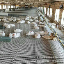 鸡鸭鹅用纯料漏粪板养殖场用漏粪地板网防滑多规格万兴畜牧